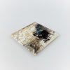 Dickens's Dream Glass Coaster